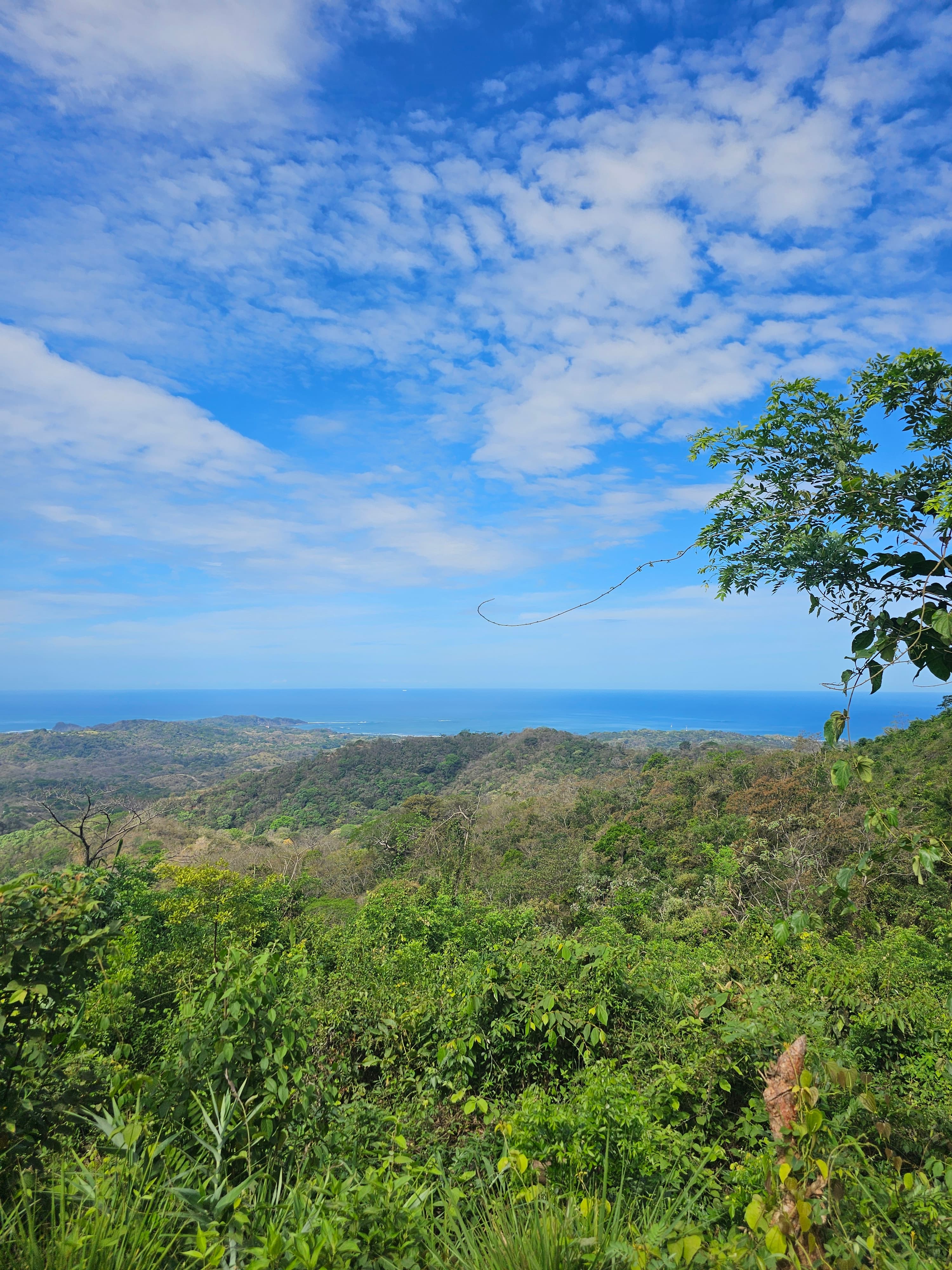 Eco-friendly tour in Nosara