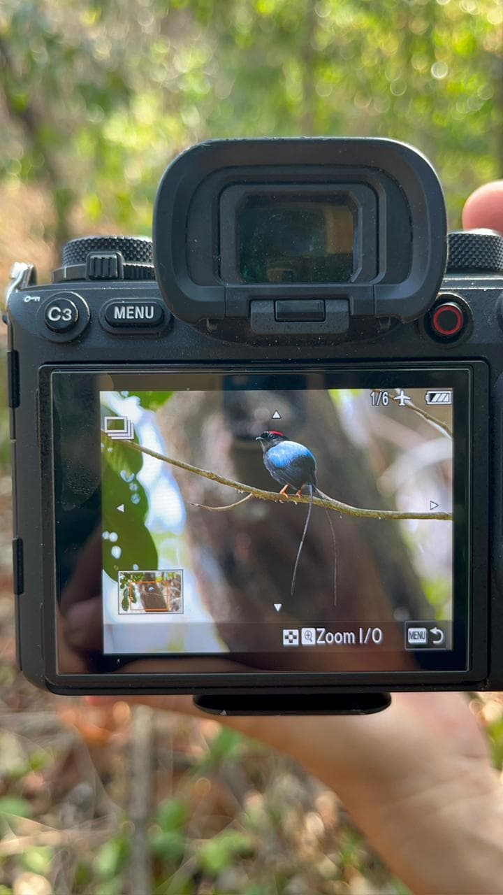 Bird Watching gallery image 1