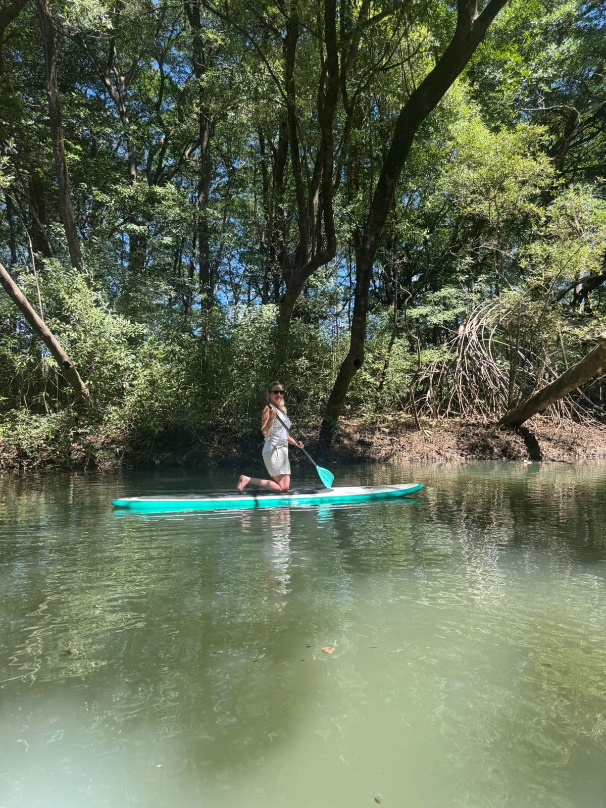 Paddle Board gallery image 1