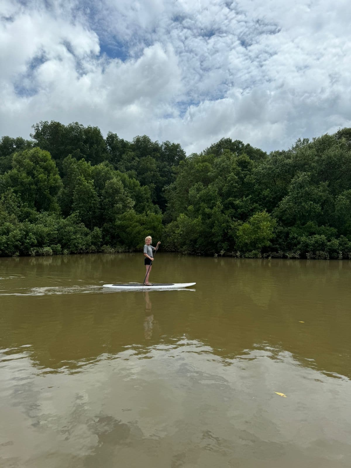 Paddle Board gallery image 2