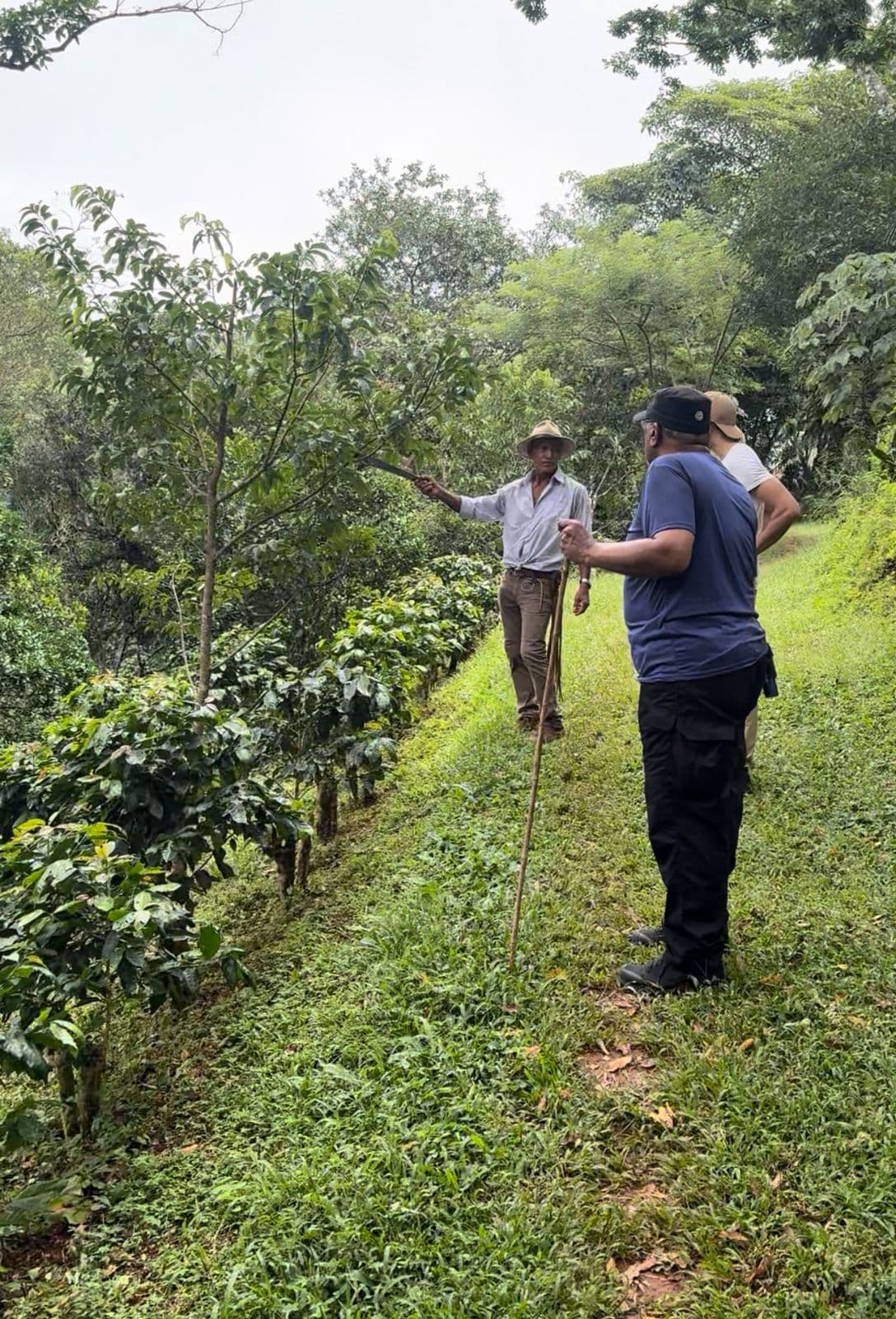 Coffee Tour