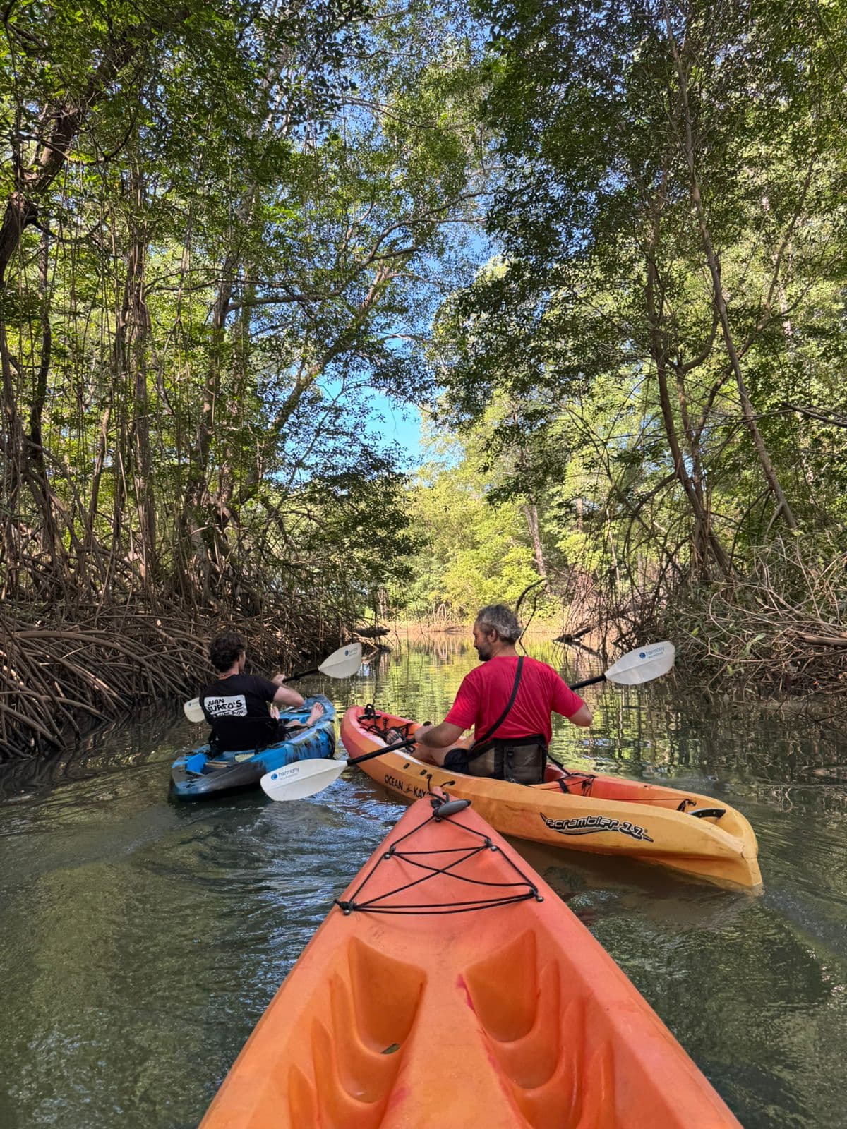Kayak Tour