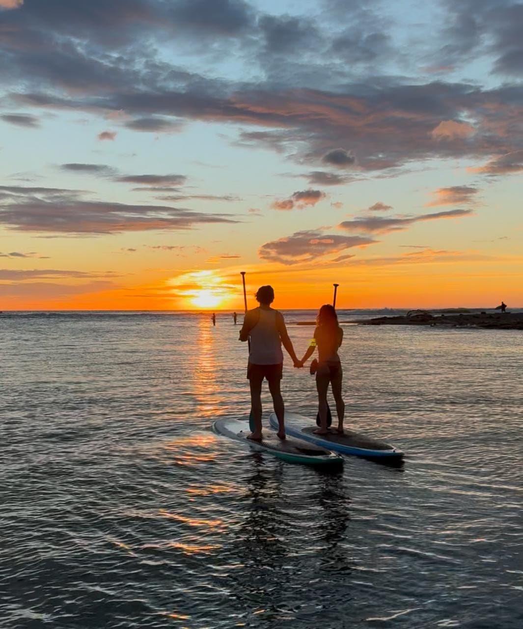 Paddle Board